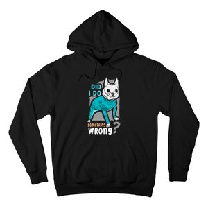 Did I Do Something Wrong Hoodie