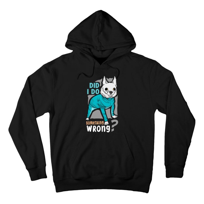 Did I Do Something Wrong Hoodie