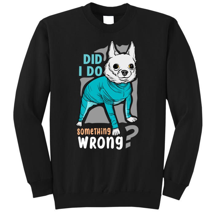 Did I Do Something Wrong Sweatshirt