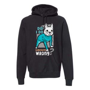 Did I Do Something Wrong Premium Hoodie