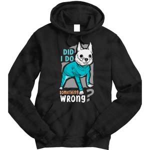 Did I Do Something Wrong Tie Dye Hoodie