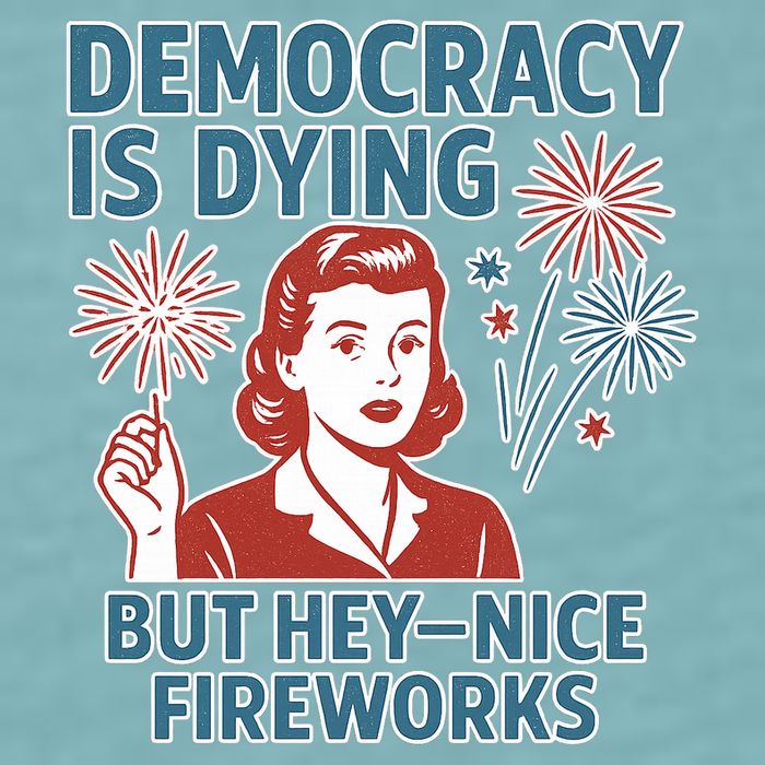 Democracy Is Dying But Hey Nice Fireworks Sueded Cloud Jersey T-Shirt