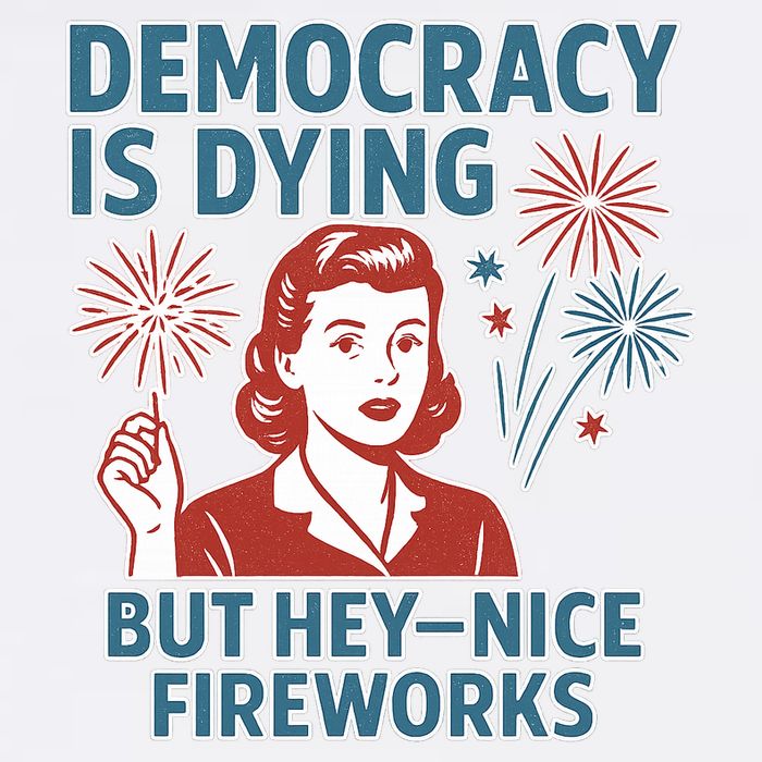 Democracy Is Dying But Hey Nice Fireworks Bucket Hat