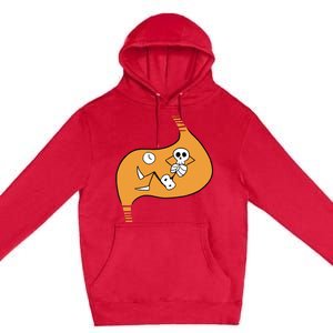 Delicious In Dungeon Meshi Laios Touden Premium Pullover Hoodie