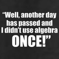 Didn't Use Algebra Today Math Irrelevance Funny Beanie