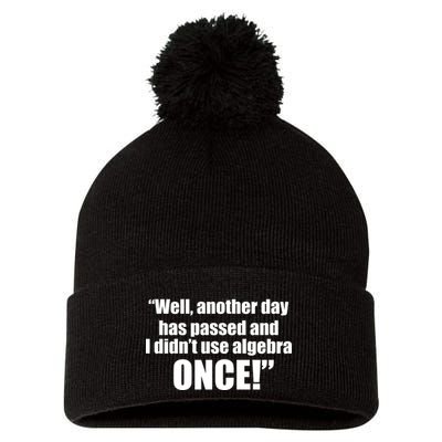 Didn't Use Algebra Today Math Irrelevance Funny Pom Pom 12in Knit Beanie