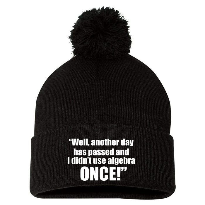 Didn't Use Algebra Today Math Irrelevance Funny Pom Pom 12in Knit Beanie