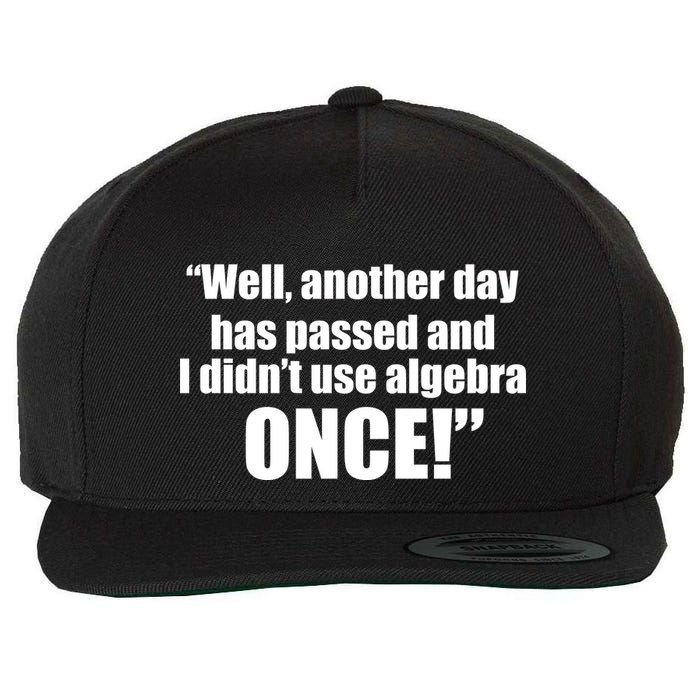 Didn't Use Algebra Today Math Irrelevance Funny Wool Snapback Cap