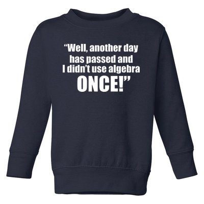 Didn't Use Algebra Today Math Irrelevance Funny Toddler Sweatshirt