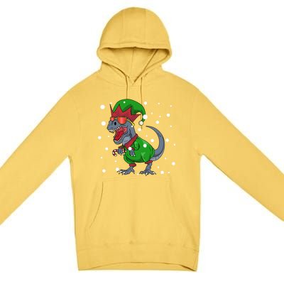 Dinosaur In Elf Costume Christmas Gnome Trex Gift Premium Pullover Hoodie