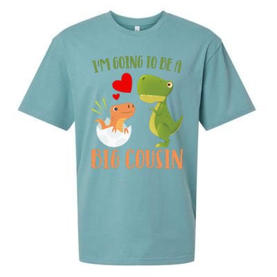 Dinosaur I'm Going To Be a Cousin Baby Reveal 2024 Sueded Cloud Jersey T-Shirt