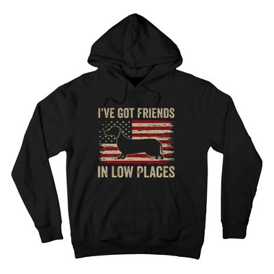 Dachshund Ive Got Friends In Low Places Wiener Dog Vintage Hoodie