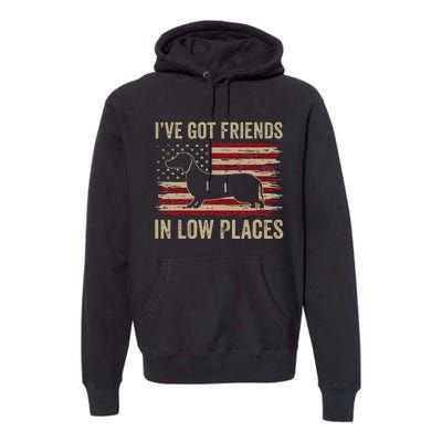 Dachshund Ive Got Friends In Low Places Wiener Dog Vintage Premium Hoodie