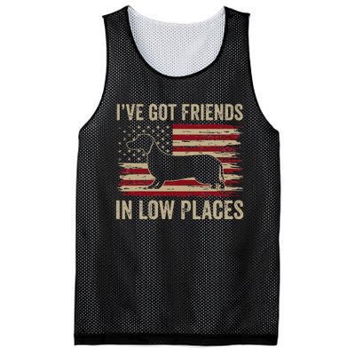 Dachshund Ive Got Friends In Low Places Wiener Dog Vintage Mesh Reversible Basketball Jersey Tank