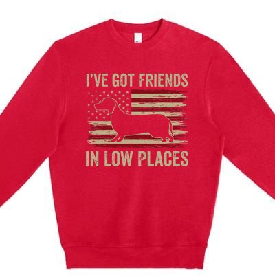 Dachshund Ive Got Friends In Low Places Wiener Dog Vintage Premium Crewneck Sweatshirt