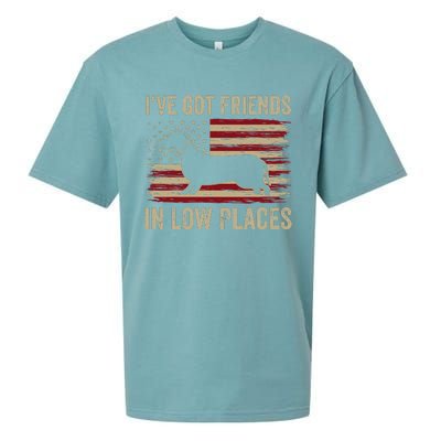 Dachshund I've Got Friends In Low Places Wiener Dog Vintage Sueded Cloud Jersey T-Shirt