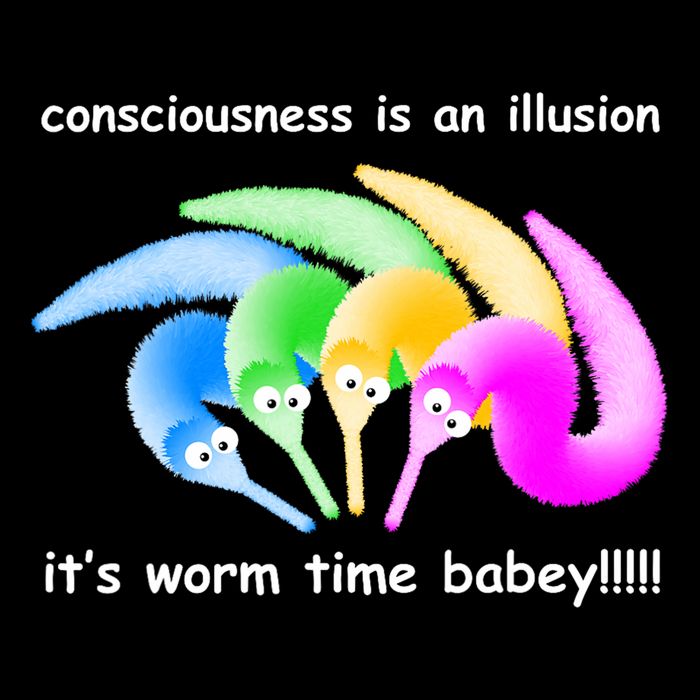 Death Is Inevitable Magic Worm On A String Meme T-Shirt