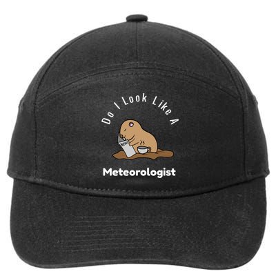 Do I Look Like A Ground Hogs Day Punxsutawney Phil Woodchuck Gift 7-Panel Snapback Hat