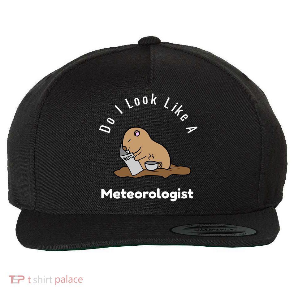 Do I Look Like A Ground Hogs Day Punxsutawney Phil Woodchuck Gift Wool Snapback Cap