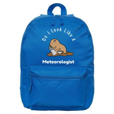 Do I Look Like A Ground Hogs Day Punxsutawney Phil Woodchuck Gift 16 in Basic Backpack