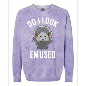 Do I Look Amused Funny Emu Animal Love Emus Gift Colorblast Crewneck Sweatshirt