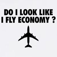 Do I Look Like I Fly Economy Funny First Class Traveling Garment-Dyed Sweatshirt