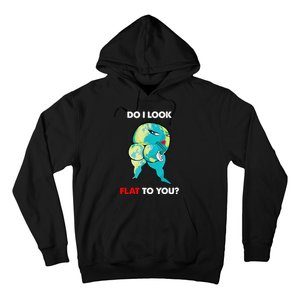 Do I Look Flat To You Anti Flat Thick Earth Hoodie