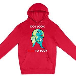 Do I Look Flat To You Anti Flat Thick Earth Premium Pullover Hoodie