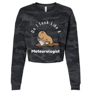 Do I Look Like A Ground Hogs Day Punxsutawney Phil Woodchuck Cool Gift Cropped Pullover Crew