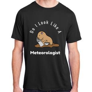 Do I Look Like A Ground Hogs Day Punxsutawney Phil Woodchuck Cool Gift Adult ChromaSoft Performance T-Shirt