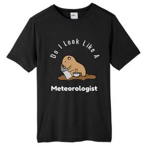 Do I Look Like A Ground Hogs Day Punxsutawney Phil Woodchuck Cool Gift Tall Fusion ChromaSoft Performance T-Shirt