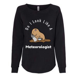 Do I Look Like A Ground Hogs Day Punxsutawney Phil Woodchuck Cool Gift Womens California Wash Sweatshirt