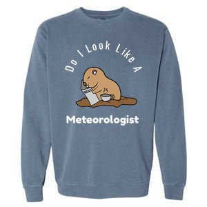 Do I Look Like A Ground Hogs Day Punxsutawney Phil Woodchuck Cool Gift Garment-Dyed Sweatshirt