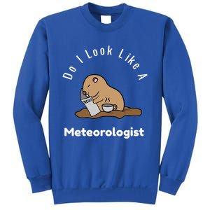 Do I Look Like A Ground Hogs Day Punxsutawney Phil Woodchuck Cool Gift Sweatshirt