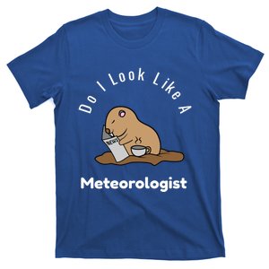 Do I Look Like A Ground Hogs Day Punxsutawney Phil Woodchuck Cool Gift T-Shirt