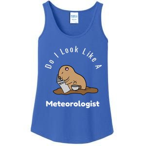 Do I Look Like A Ground Hogs Day Punxsutawney Phil Woodchuck Cool Gift Ladies Essential Tank