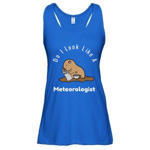 Do I Look Like A Ground Hogs Day Punxsutawney Phil Woodchuck Cool Gift Ladies Essential Flowy Tank