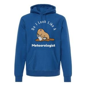 Do I Look Like A Ground Hogs Day Punxsutawney Phil Woodchuck Cool Gift Premium Hoodie