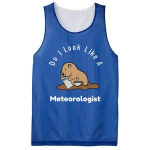 Do I Look Like A Ground Hogs Day Punxsutawney Phil Woodchuck Cool Gift Mesh Reversible Basketball Jersey Tank