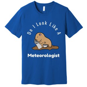 Do I Look Like A Ground Hogs Day Punxsutawney Phil Woodchuck Cool Gift Premium T-Shirt