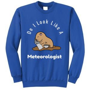 Do I Look Like A Ground Hogs Day Punxsutawney Phil Woodchuck Cool Gift Tall Sweatshirt