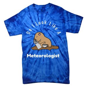 Do I Look Like A Ground Hogs Day Punxsutawney Phil Woodchuck Cool Gift Tie-Dye T-Shirt