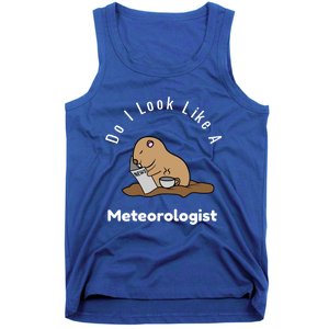 Do I Look Like A Ground Hogs Day Punxsutawney Phil Woodchuck Cool Gift Tank Top