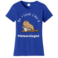 Do I Look Like A Ground Hogs Day Punxsutawney Phil Woodchuck Cool Gift Women's T-Shirt