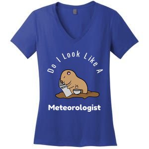 Do I Look Like A Ground Hogs Day Punxsutawney Phil Woodchuck Cool Gift Women's V-Neck T-Shirt