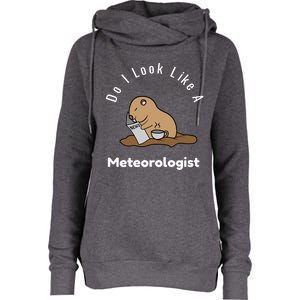 Do I Look Like A Ground Hogs Day Punxsutawney Phil Woodchuck Cool Gift Womens Funnel Neck Pullover Hood