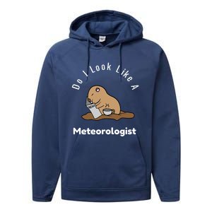 Do I Look Like A Ground Hogs Day Punxsutawney Phil Woodchuck Cool Gift Performance Fleece Hoodie