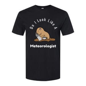 Do I Look Like A Ground Hogs Day Punxsutawney Phil Woodchuck Cool Gift Softstyle CVC T-Shirt