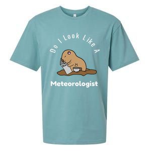 Do I Look Like A Ground Hogs Day Punxsutawney Phil Woodchuck Cool Gift Sueded Cloud Jersey T-Shirt