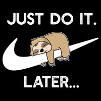 Do It Later Funny Sleepy Sloth For Lazy Sloth Lover Wool Snapback Cap